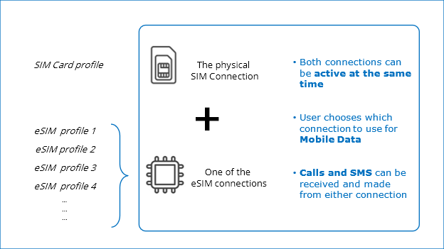 schematic information of how dual sim works with esim and physical sim