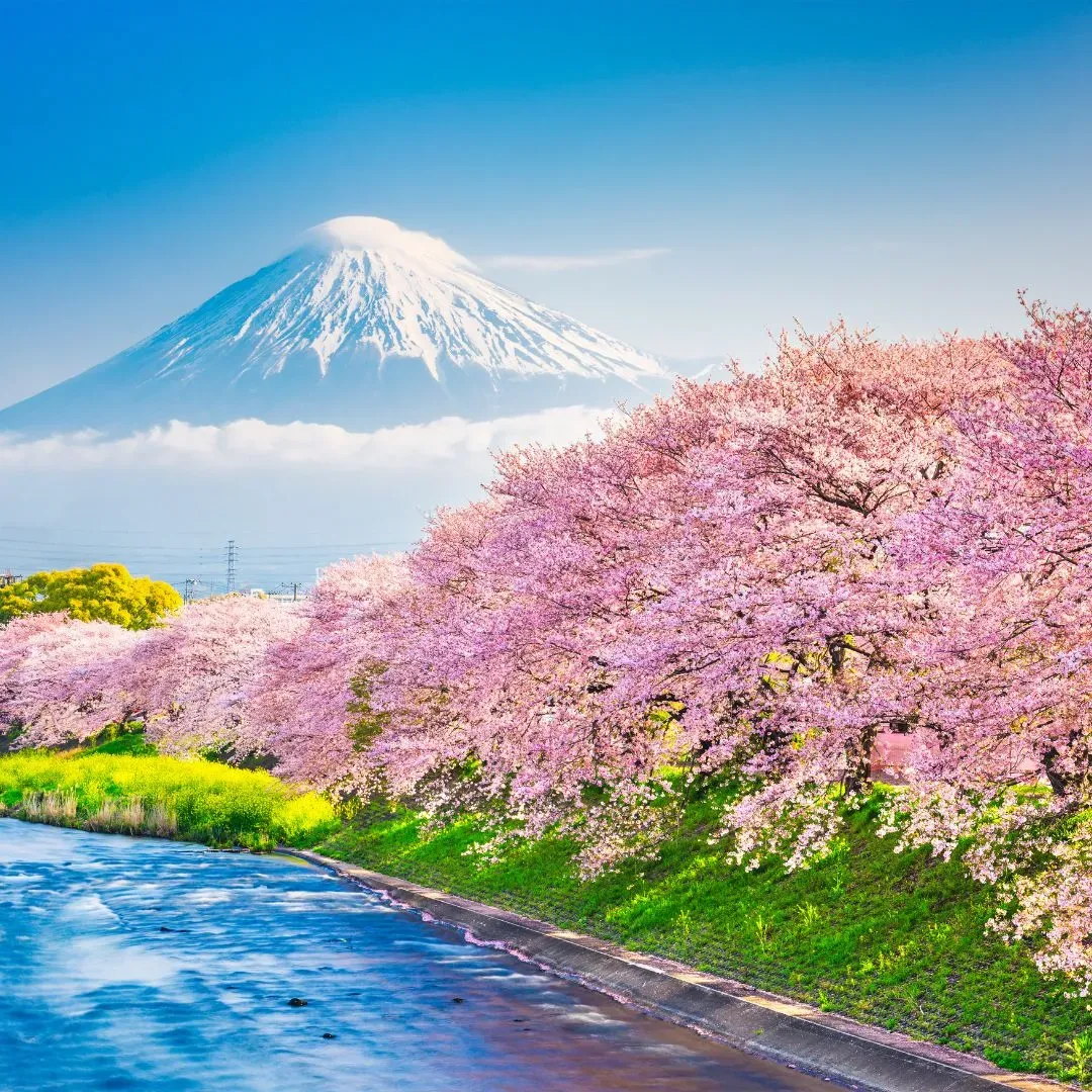 eSIM in Japan: Seamless Connectivity and Travel Tips