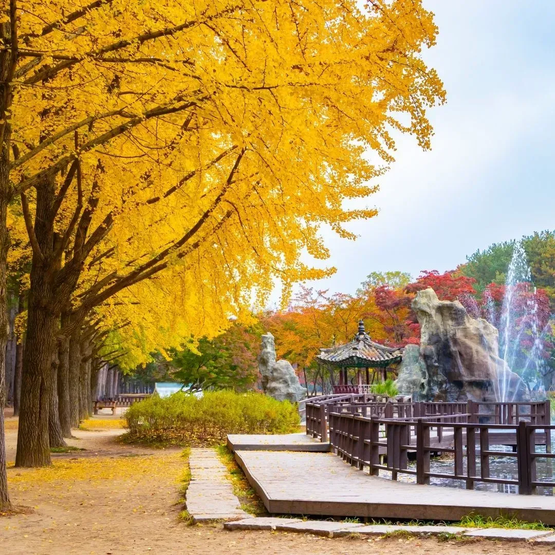 South Korea Travel & Data Guide 2026: Autumn Foliage, K-Culture & eSIMs