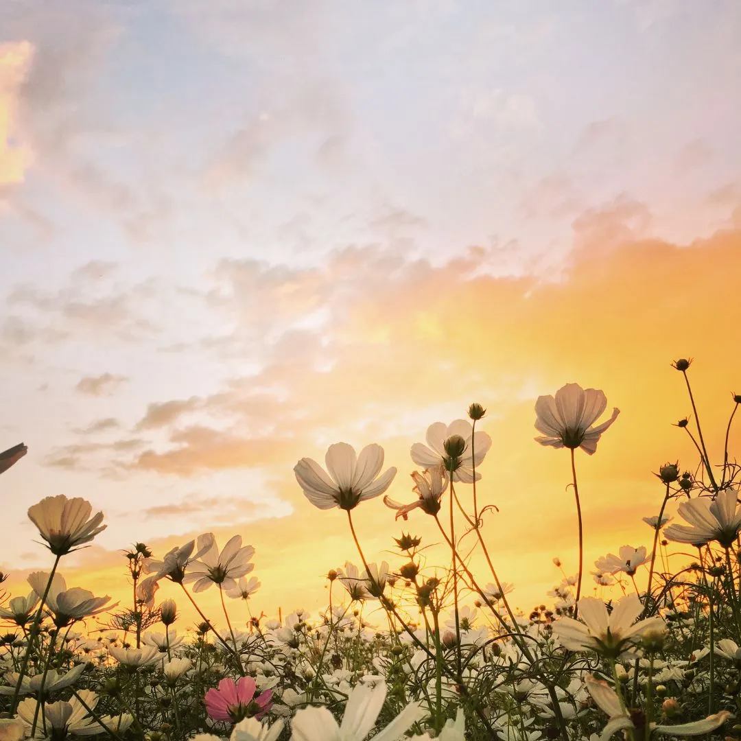 best spring break destinations