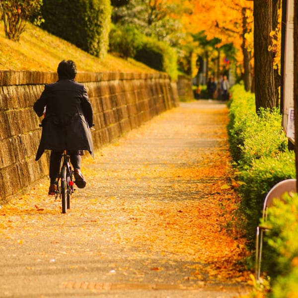 The Ultimate Guide to Autumn in Japan: A 10-Day Itinerary for October & November 2025