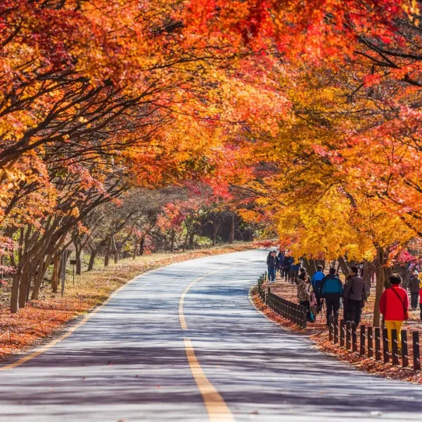 November Travel Guide: Warm Destinations, Fall Colors & Festive Vibes