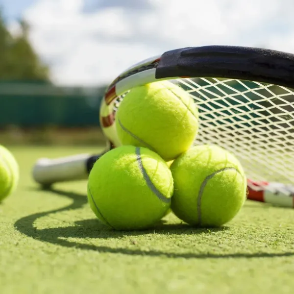 Wimbledon 2026 Guide