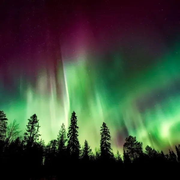 Northern Lights Travel Guide: For NocTourists chasing the Midnight Sun