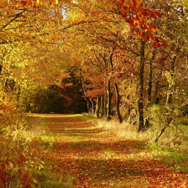 Autumn Travel Guide 2026