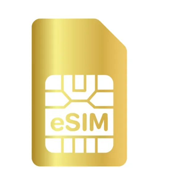 What is an Electronic SIM?