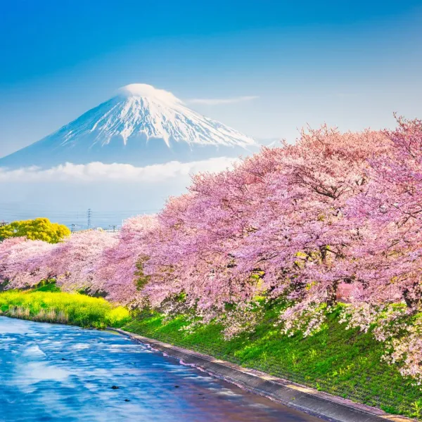 eSIM in Japan: Seamless Connectivity and Travel Tips