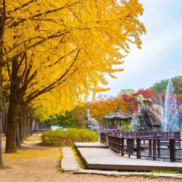 Autum in South Korea