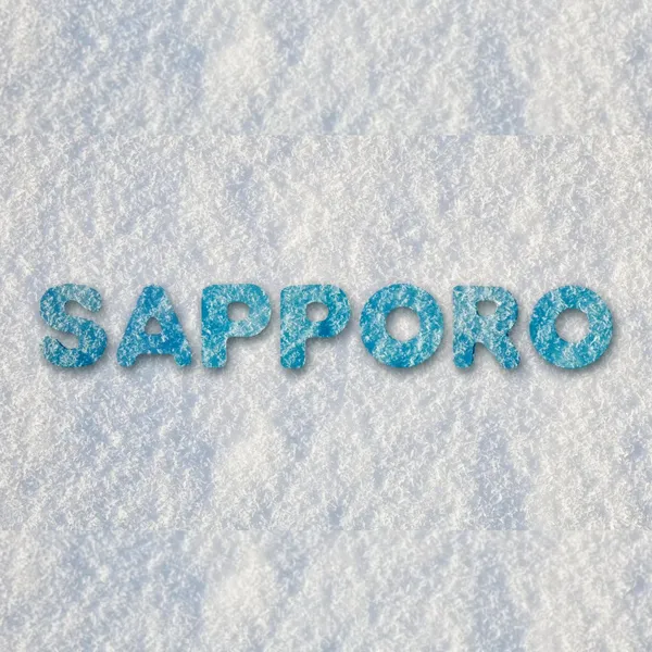 Sapporo Snow Festival 2027: Dates, Sites, Ice Sculptures & Staying Connected