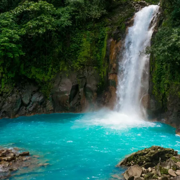 Why Limón is the #1 Trending Destination for 2026 (And How to Stay Connected in the Jungle)